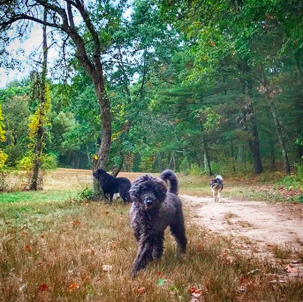 Screen Shot 2017-12-12 at 9.41.14 PM.png