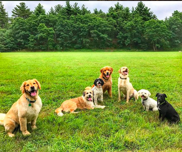 Screen Shot 2017-12-15 at 8.03.53 AM.png