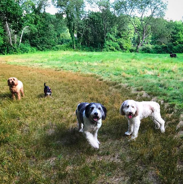 Screen Shot 2017-12-15 at 8.04.21 AM.png