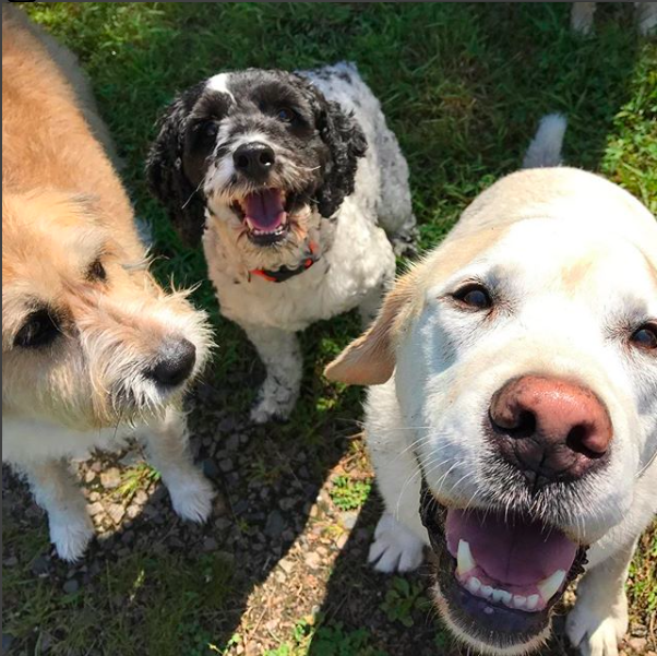 Screen Shot 2017-12-15 at 8.04.38 AM.png