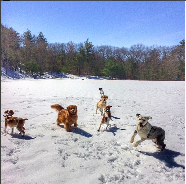 Screen Shot 2017-12-15 at 8.11.58 AM.png