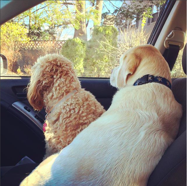 Screen Shot 2017-12-15 at 9.30.13 AM.png