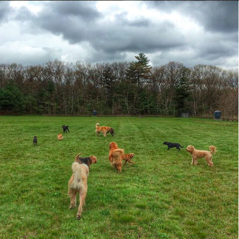 Screen Shot 2017-12-16 at 2.30.25 PM.png