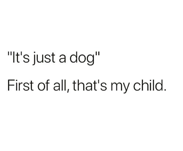 Screen Shot 2017-12-16 at 4.35.46 PM.png