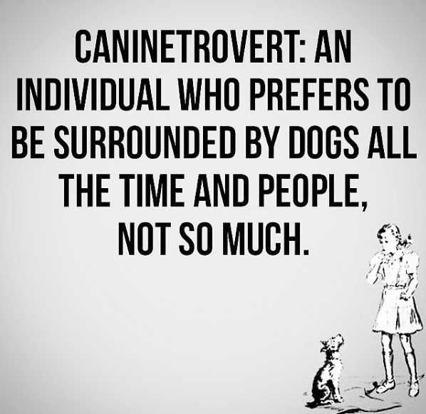 Screen Shot 2017-12-17 at 9.31.09 AM.png