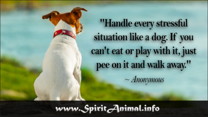 Screen Shot 2017-12-16 at 4.37.34 PM.png