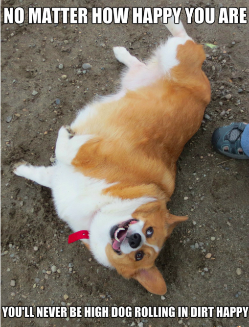 Screen Shot 2018-01-26 at 10.44.47 AM.png