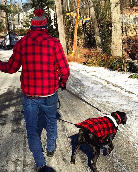 Screen Shot 2017-12-17 at 9.47.02 AM.png