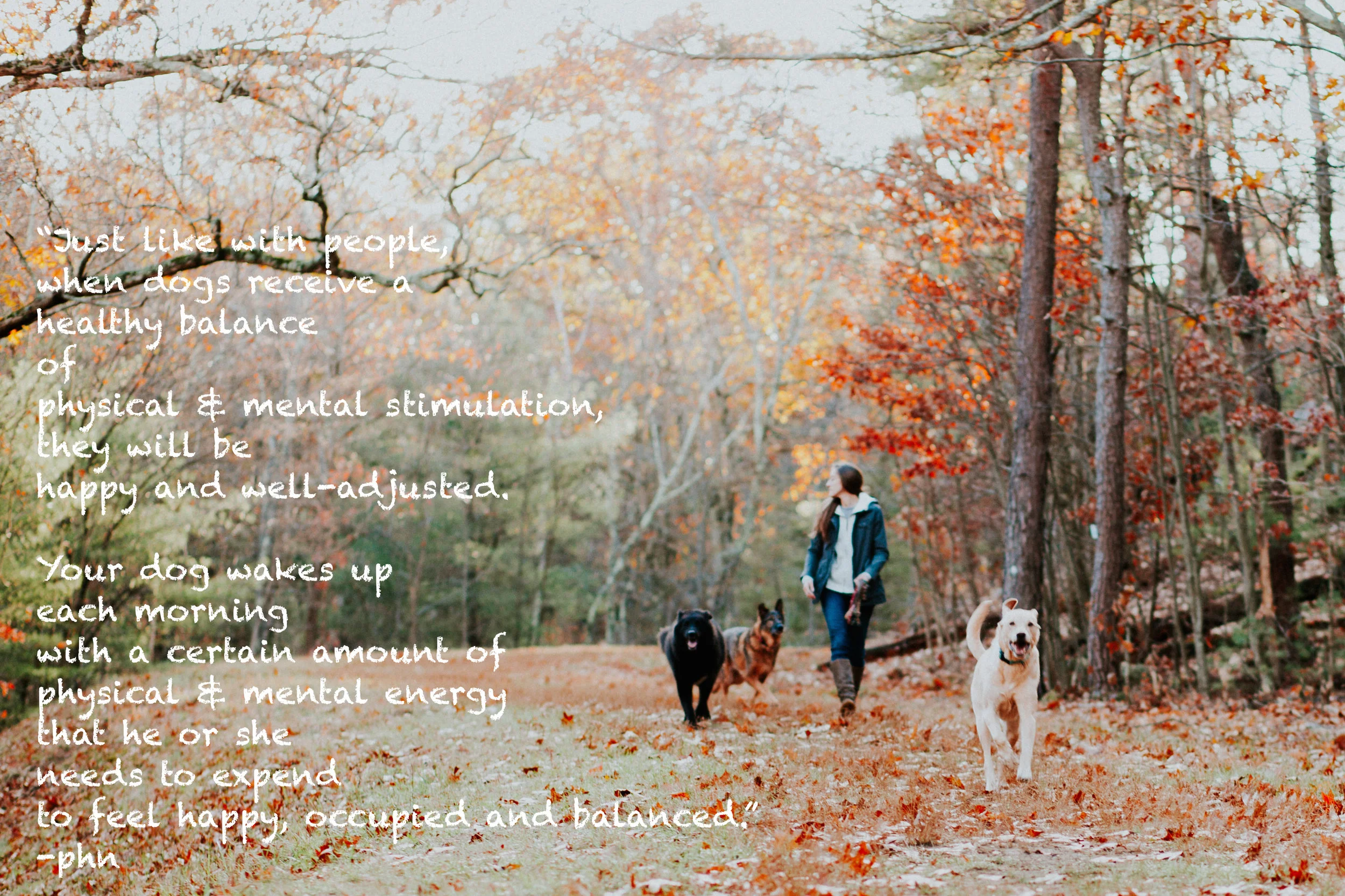 website homepage pic 2.JPG