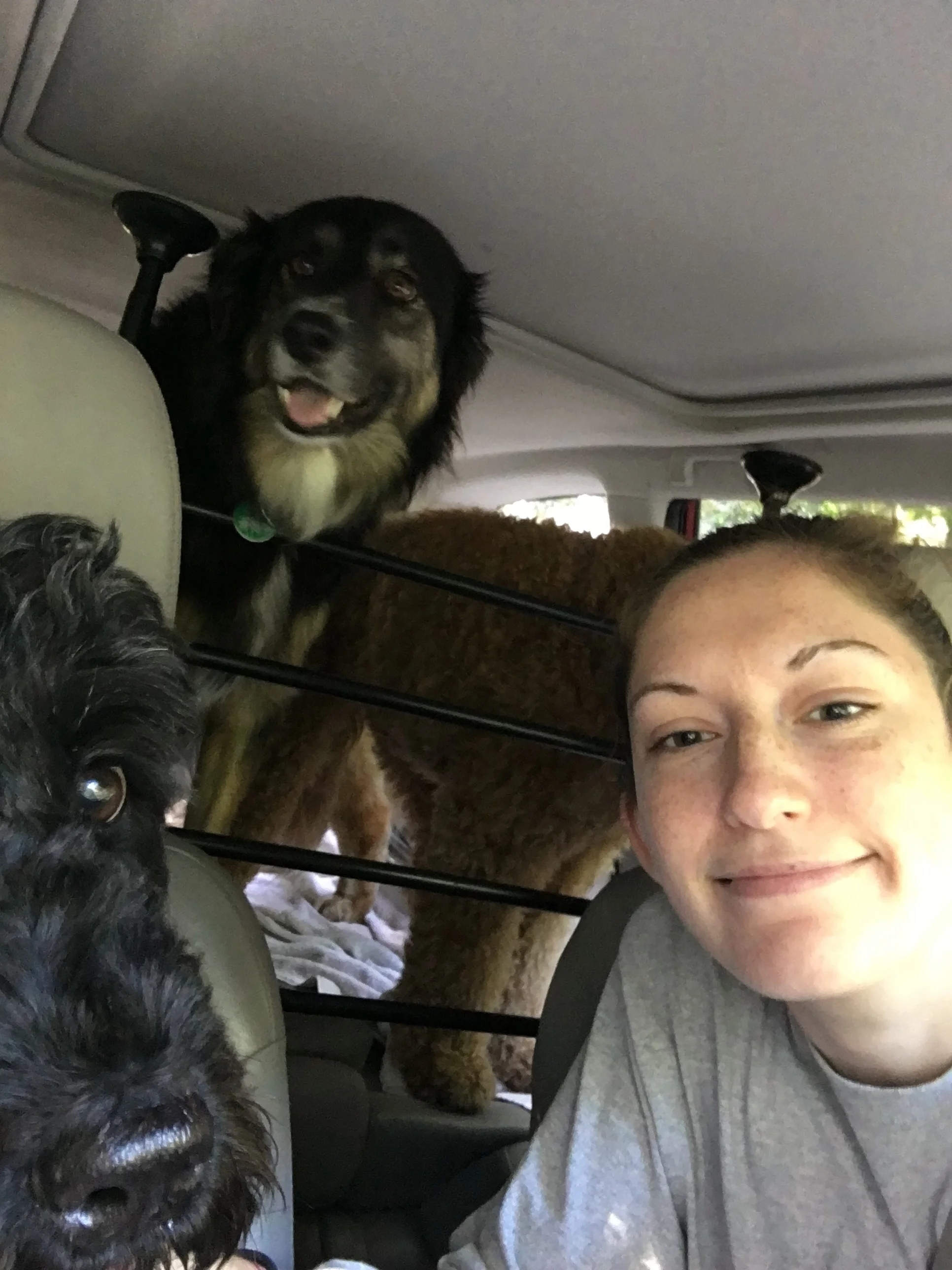 To meet Caroline, click the photo of she and her hiking buds Koru Scouty and DaisyDoo!