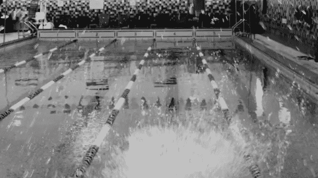 Elegy Branded Elements-low.gif