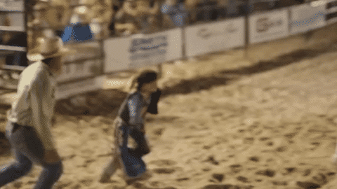 Elegy Documented Elements-low.gif