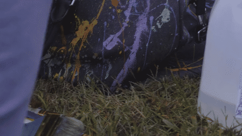 Elegy Originals Elements-low.gif