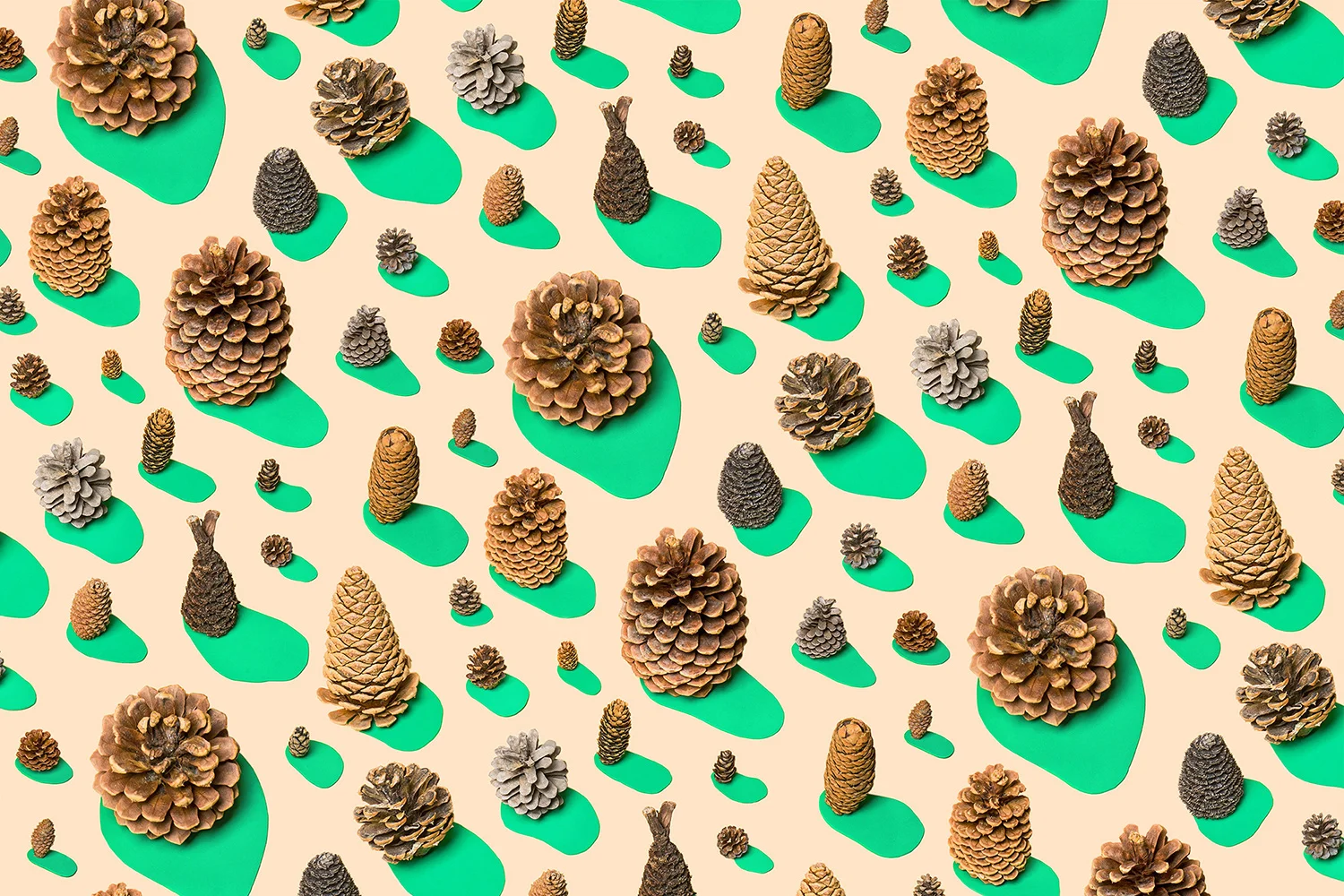 THINGS_PineCone_Pattern.jpg