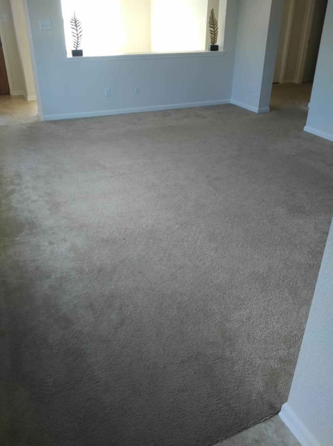 Screen Shot 2020-03-28 at 9.14.17 AM.png