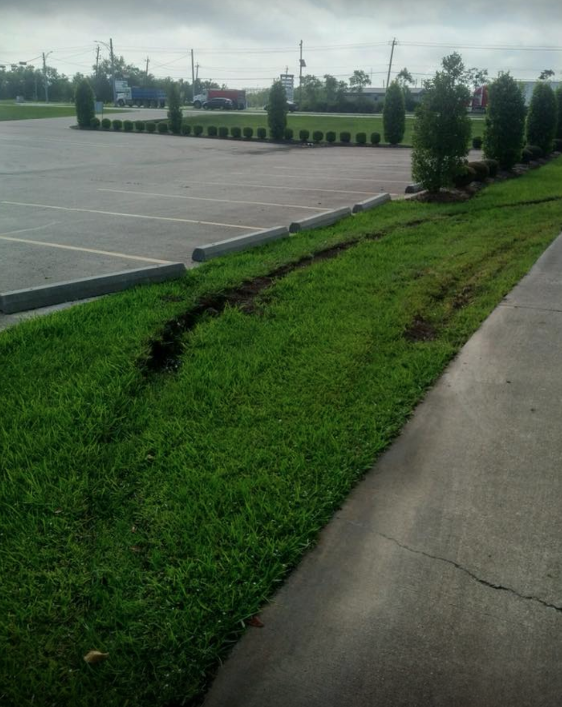 Screen Shot 2020-03-28 at 9.18.25 AM.png