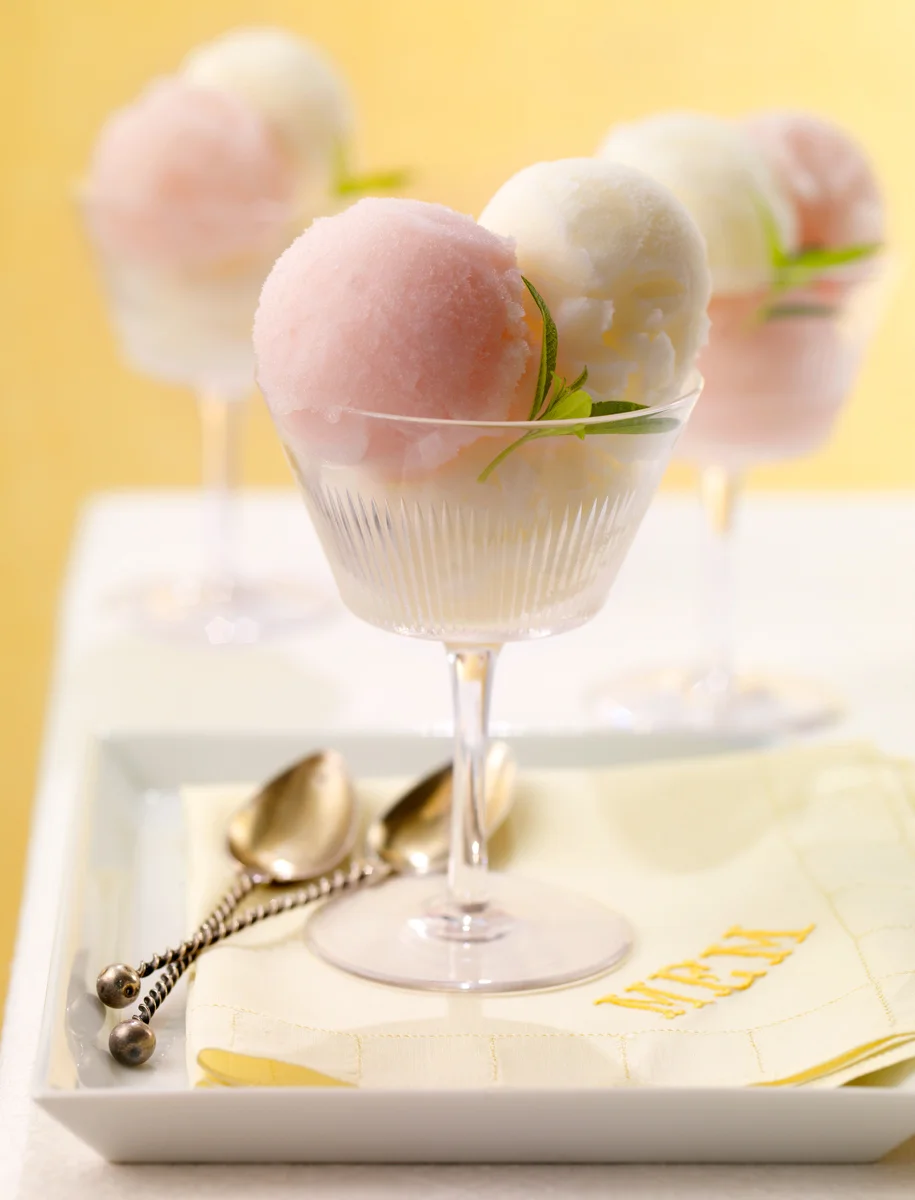 sorbet, dessert, food, food photographer, drink photographer, Long Island food photographer, product photographer, photographer, studio photographer, packaging, John Montana, Montana