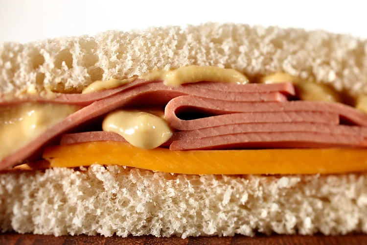 bologna, sandwich, entrée, dinner, food, food photographer, drink photographer, Long Island food photographer, product photographer, photographer, studio photographer, packaging, John Montana, Montana