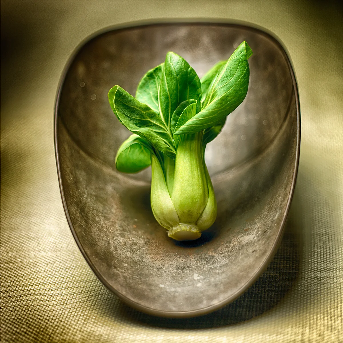 food photographer, still life photography, still life photographer, Long Island photographer, product photographer, studio photographer, packaging, John Montana, ingredients, personal work, fun