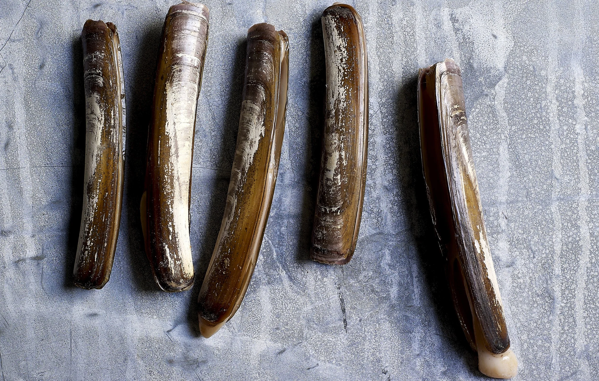 2026 Kevin Norris Photography-43.jpg