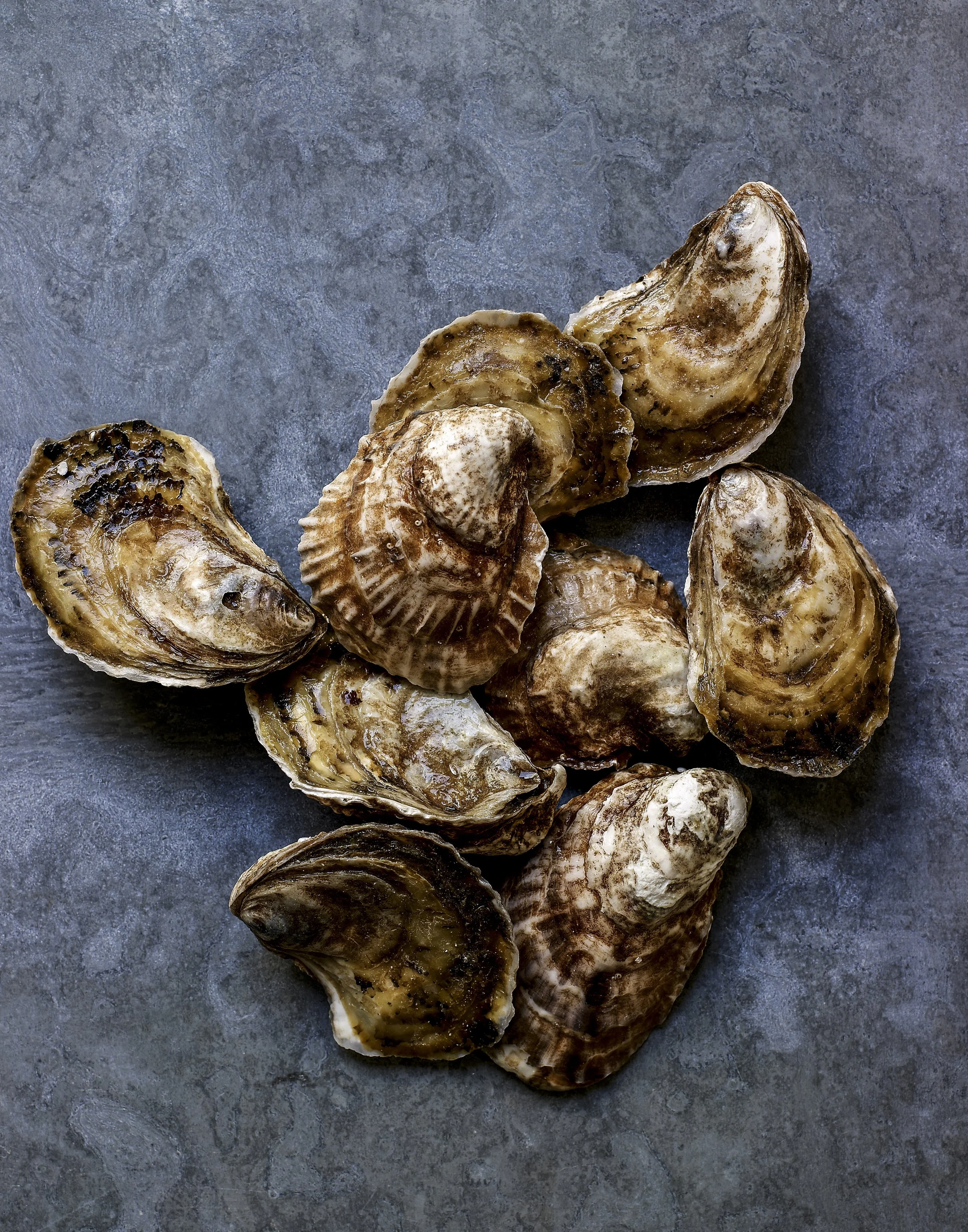 2026 Kevin Norris Photography-44.jpg