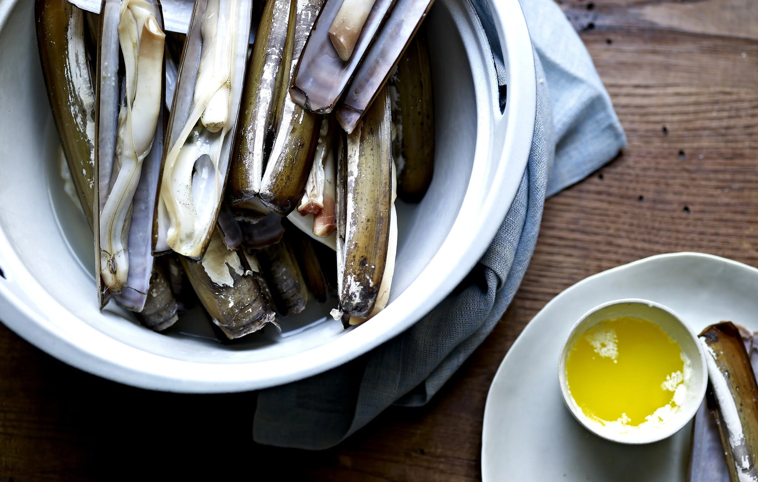 2026 Kevin Norris Photography-47.jpg