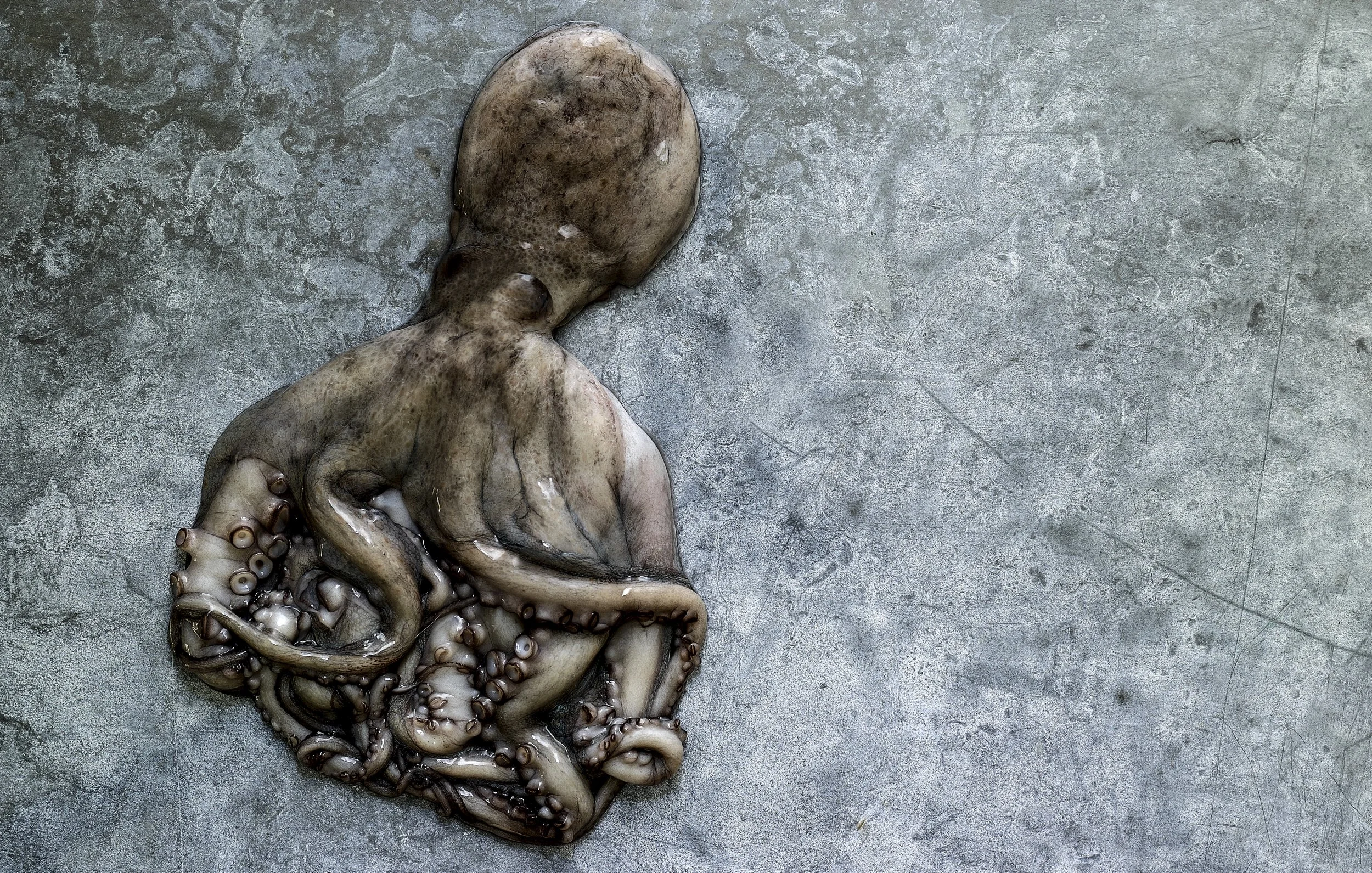 2026 Kevin Norris Photography-46.jpg