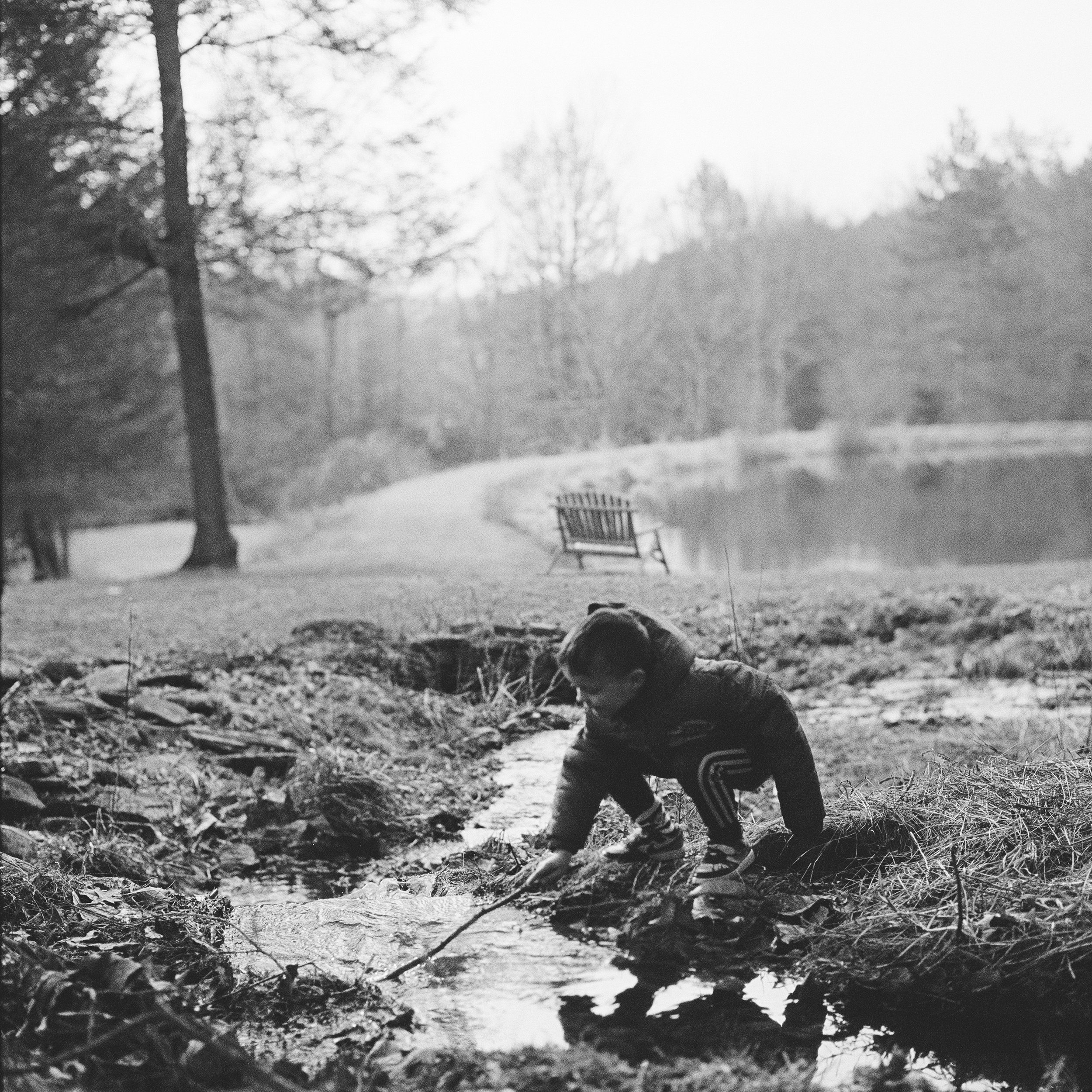 Black and white photograph of a natural outdoor scene with trees, a small pond, and natural surroundings, seemingly taken during winter or early spring.