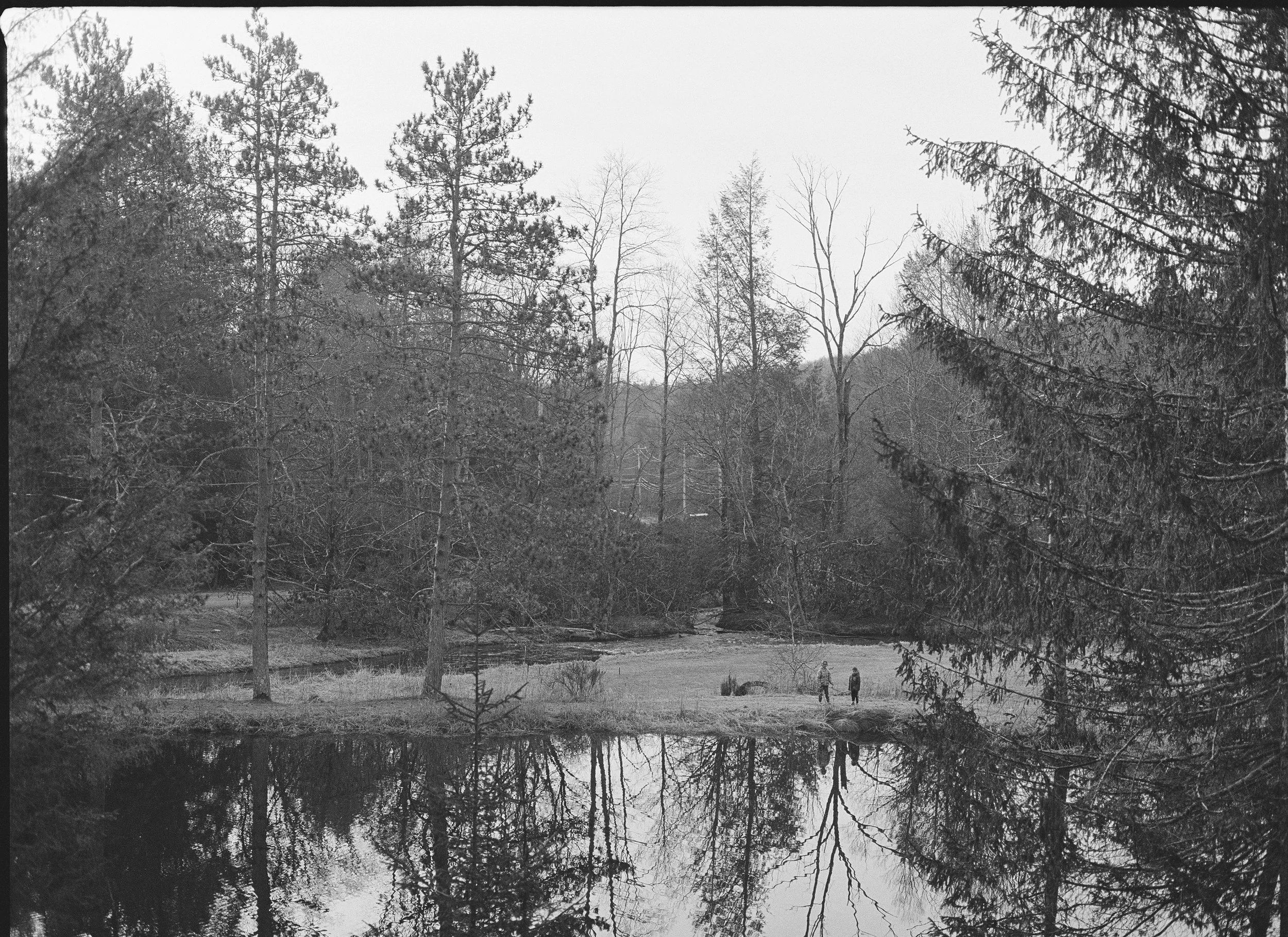 Black and white photograph of a forest scene with tall trees, a small pond, and two people walking in the distance near the water.