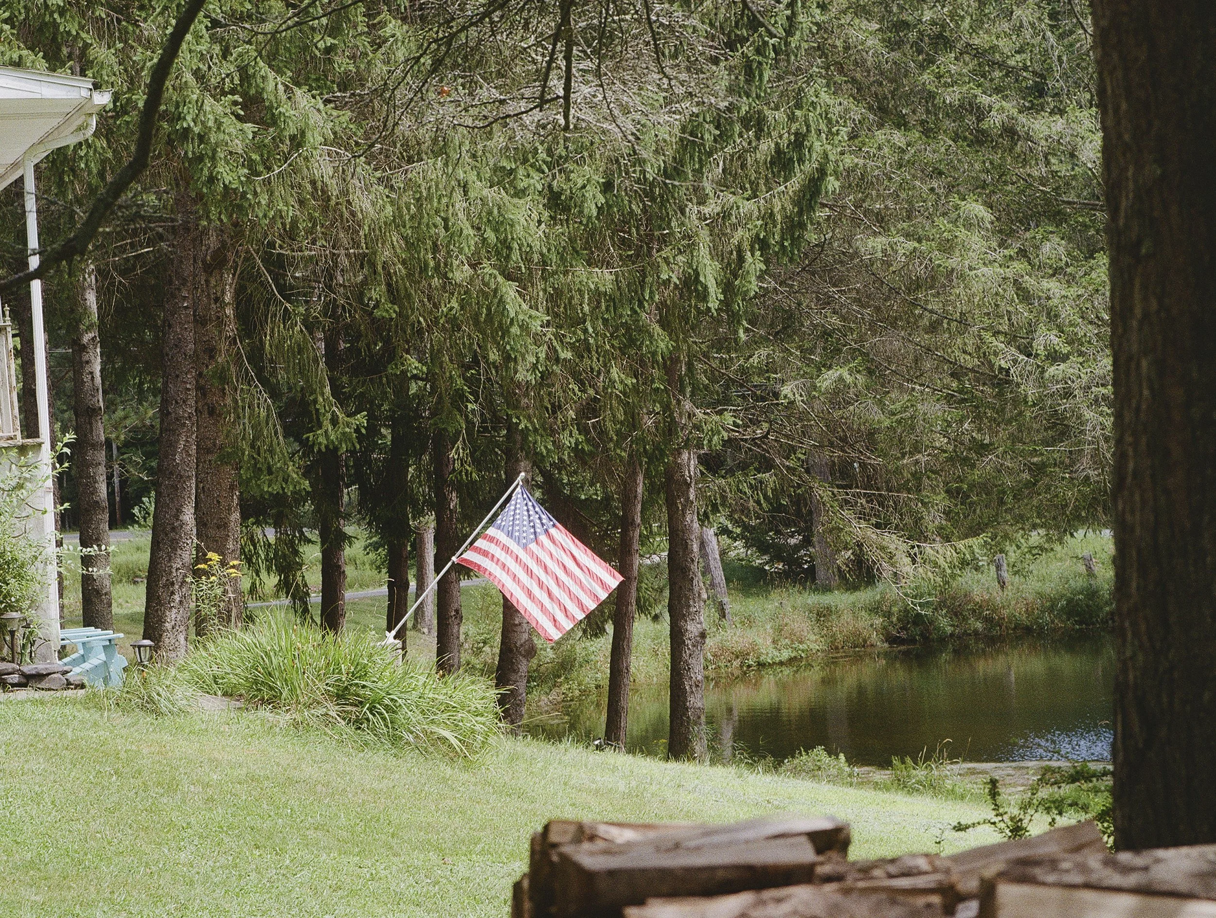A backyard scene with lush green grass, tall evergreen trees, a body of water, and an American flag on a small pole near the trees.