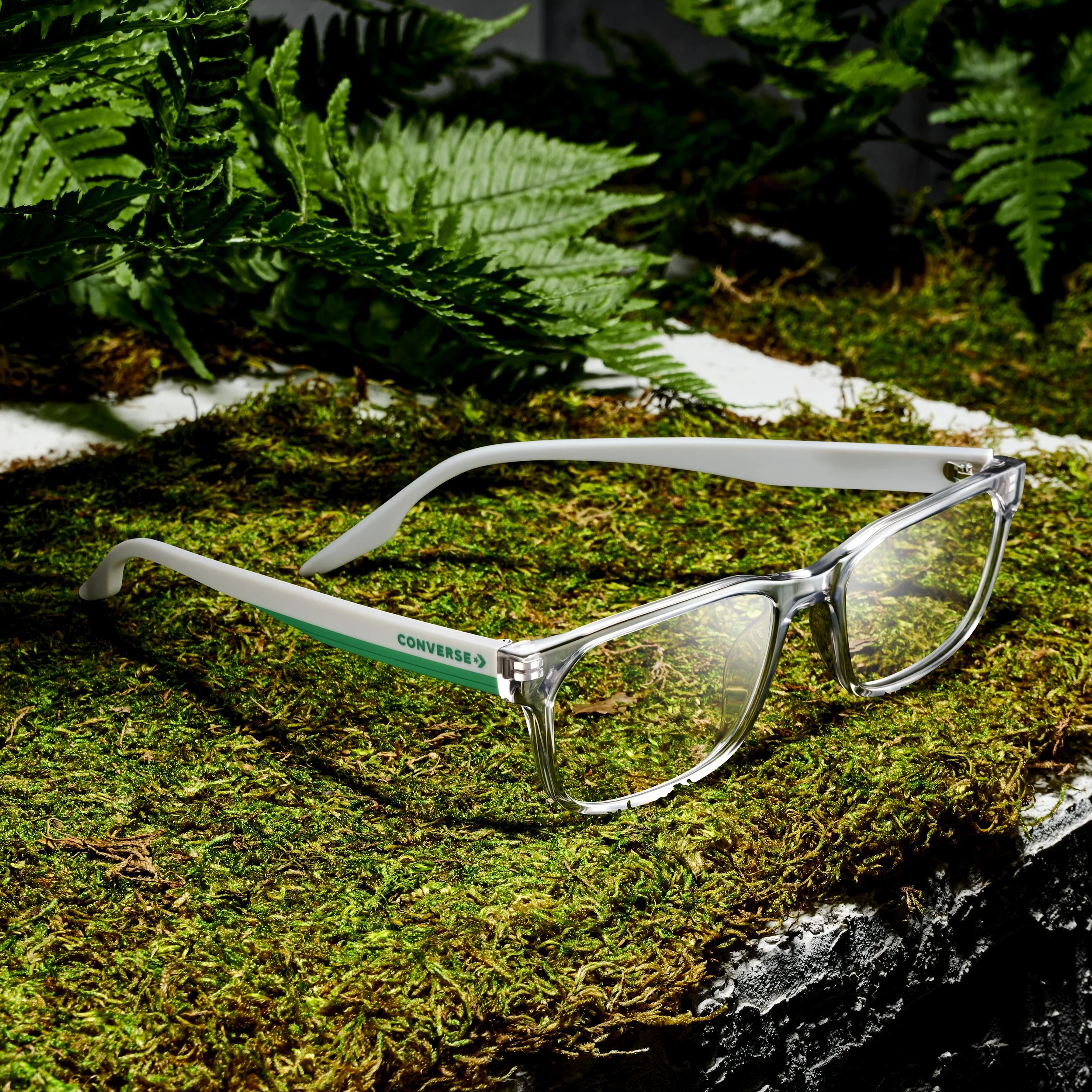 Eyeglasses resting on mossy forest ground with green ferns in the background.