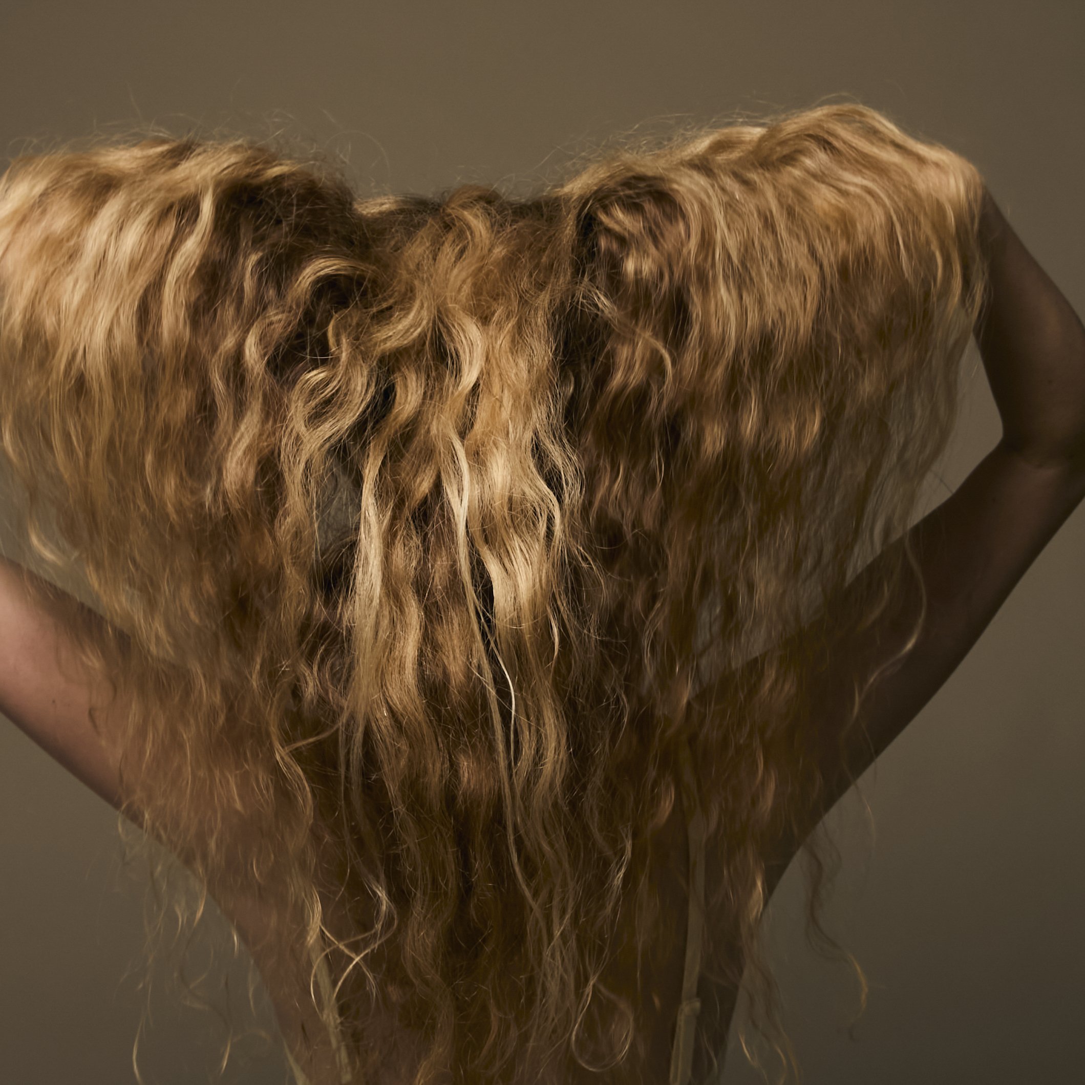 Close-up of curly, reddish-brown hair on a person's head, viewed from behind.