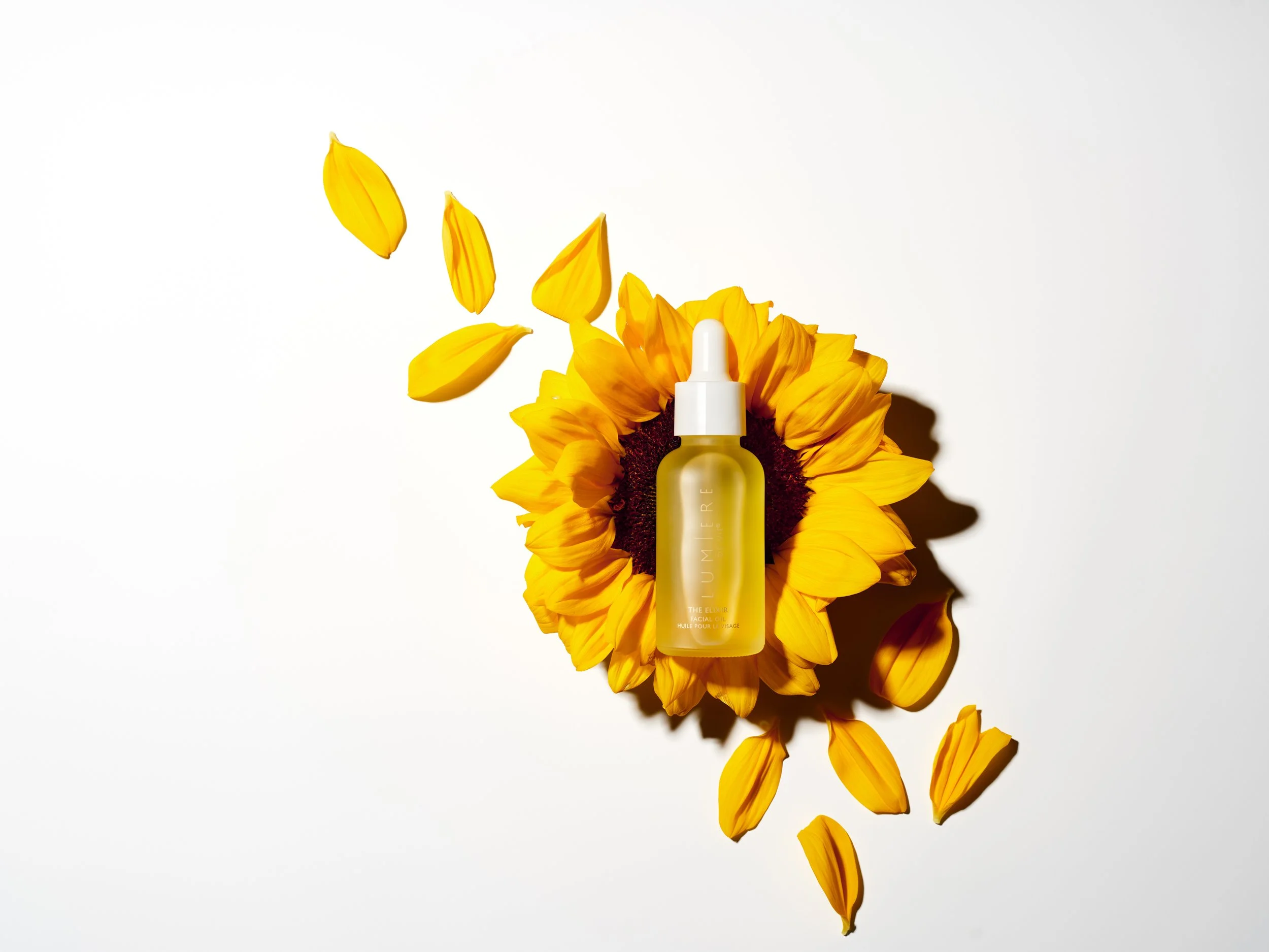 A bottle of facial oil placed on a sunflower with sunflower petals arranged around it on a white background.