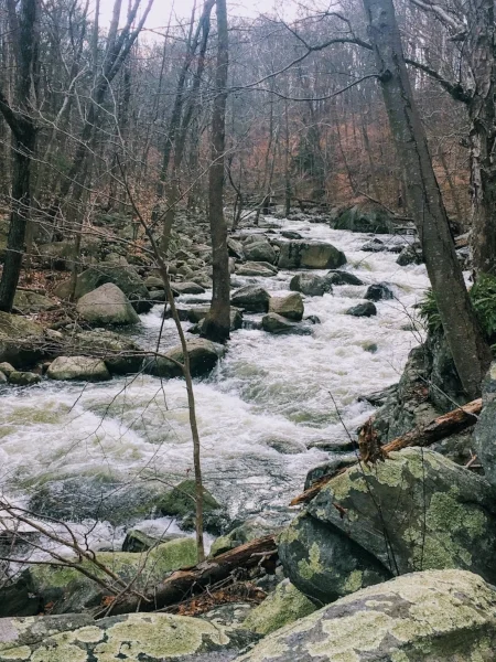 Thanks to a recent storm, the creek's water flow was intense.
