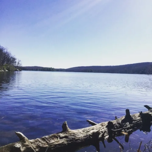 Lake Tiorati from the North end of the lake