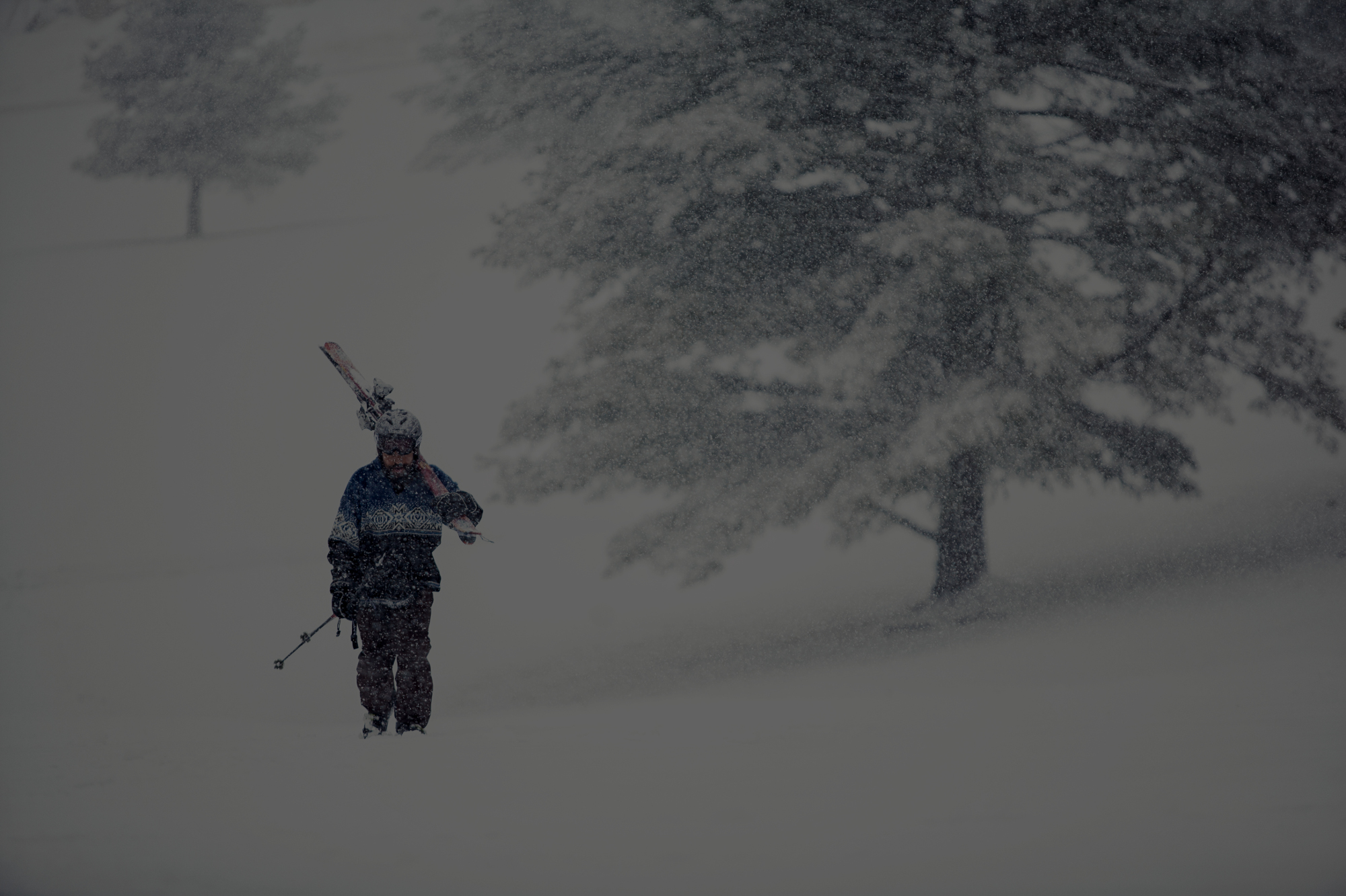 ski background greyscale .jpg