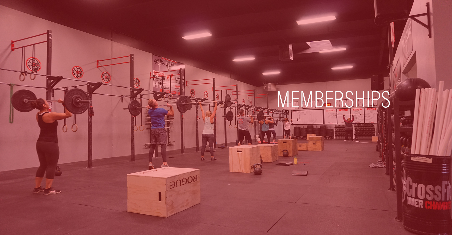 Membership-Banner.jpg