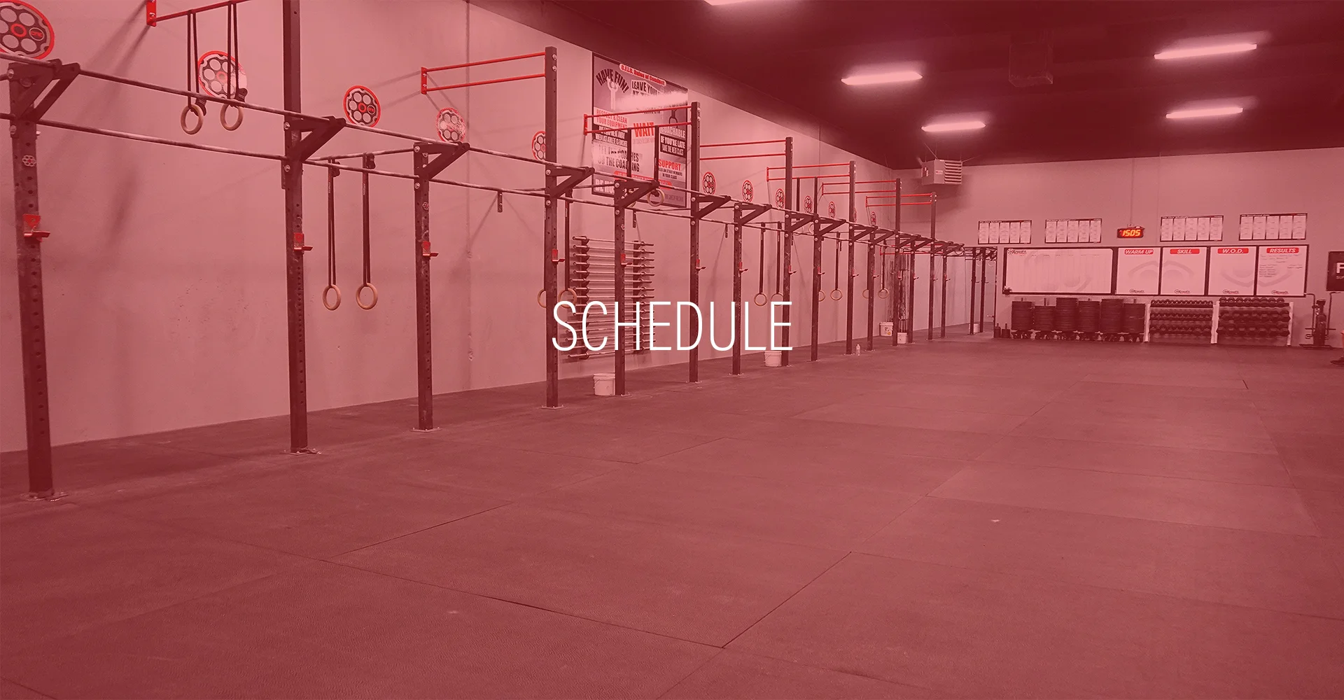 Schedule.jpg