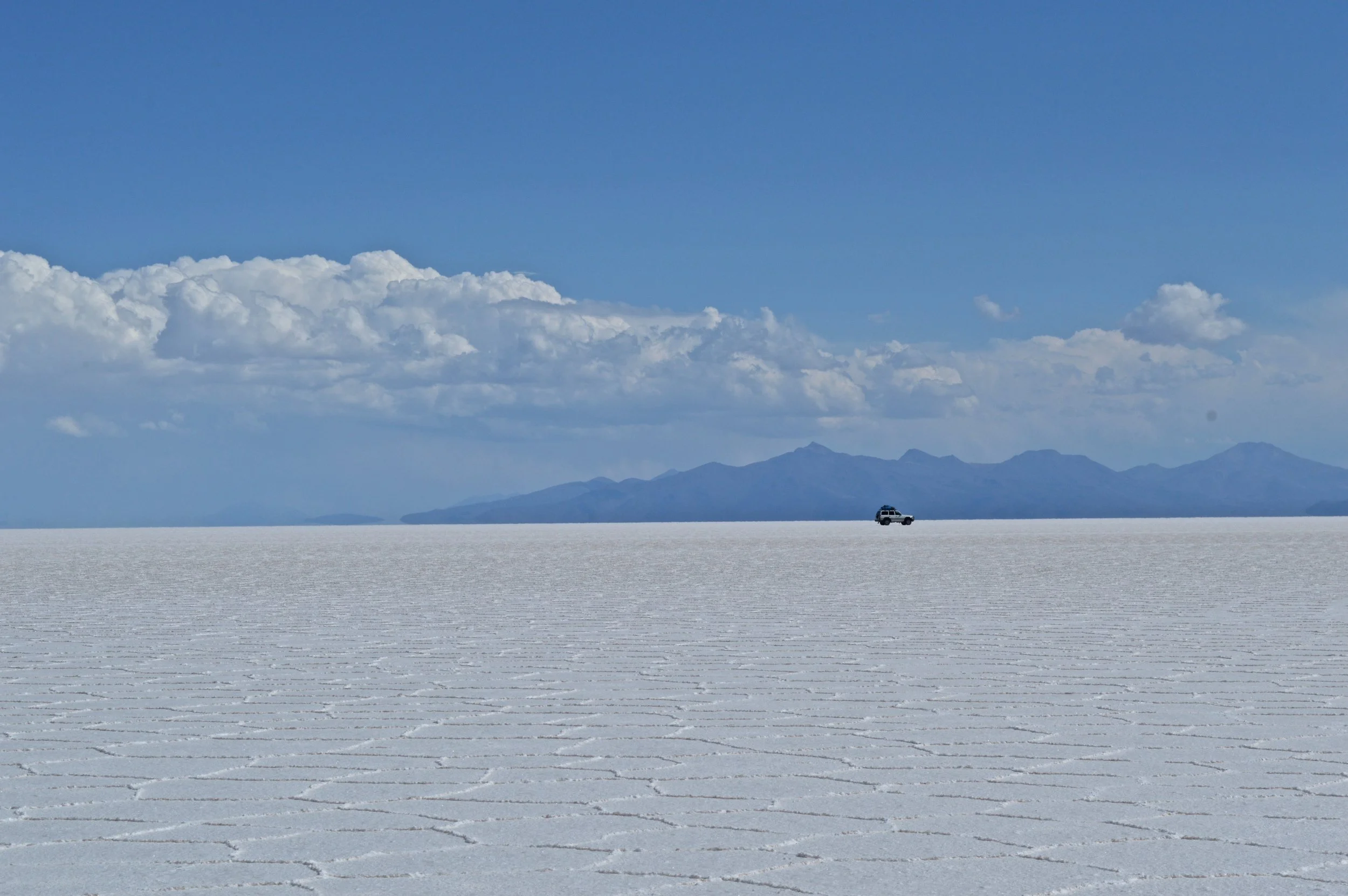DSC_1709.JPG