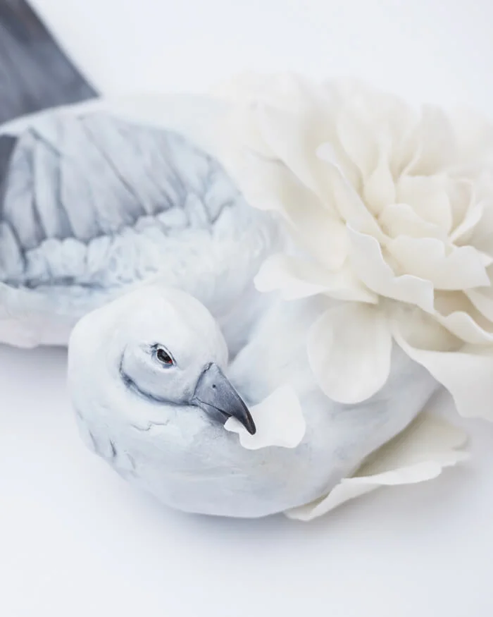 Pigeon detail 3.jpg