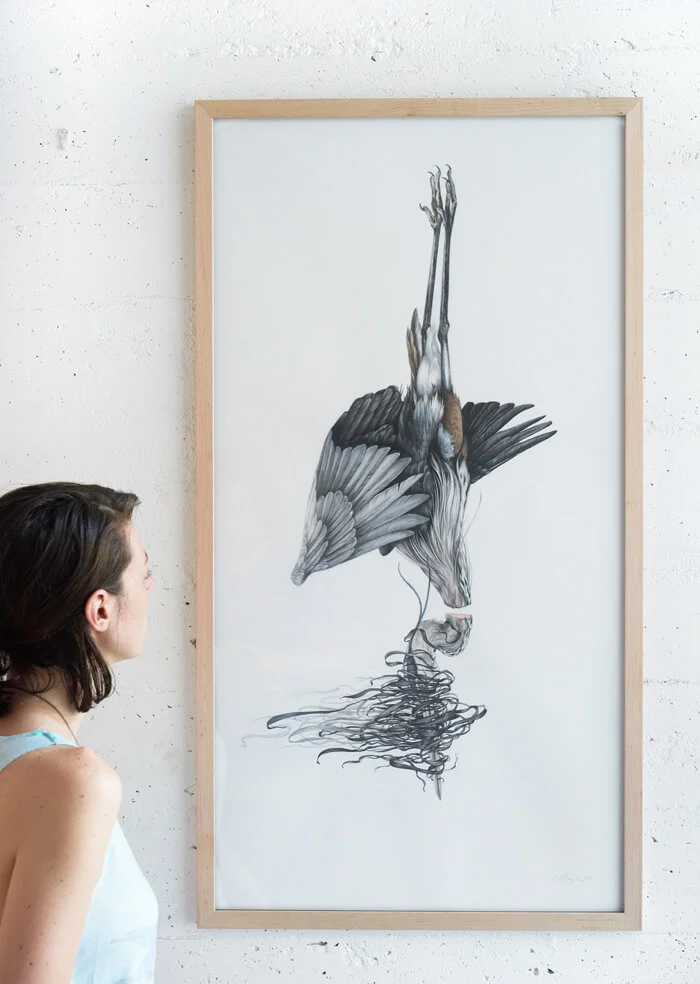 Heron w reference framed antler.jpg