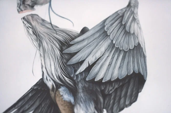 Heron Detail 2.jpg