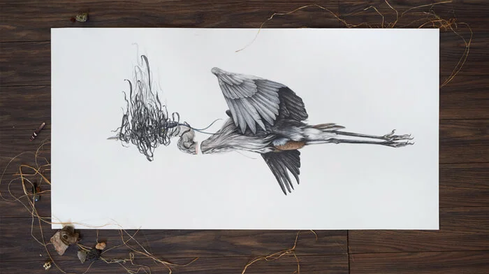 Heron detail 1.jpg