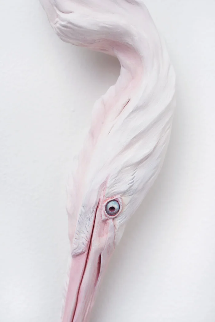 Pink Heron detail 4 Internet Size (1).jpg