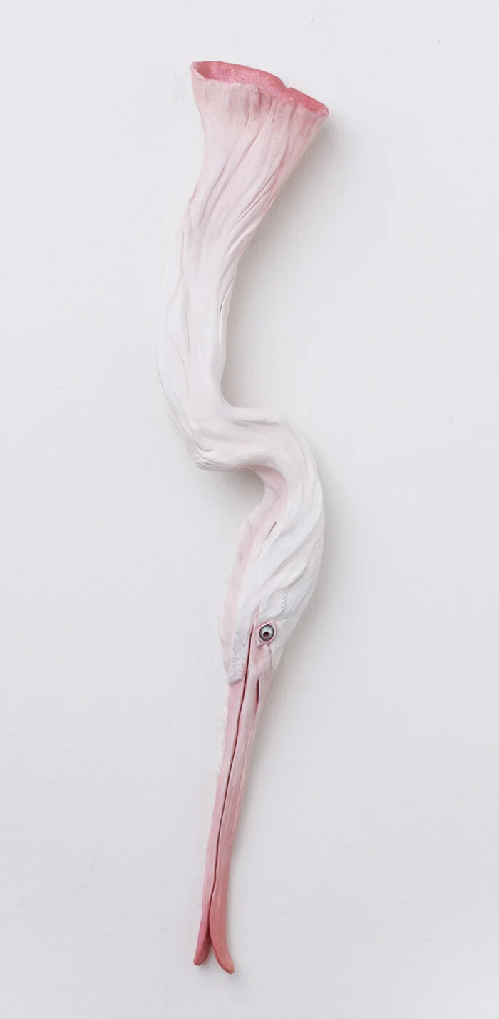 Pink Heron detail 1 Internet Size.jpg