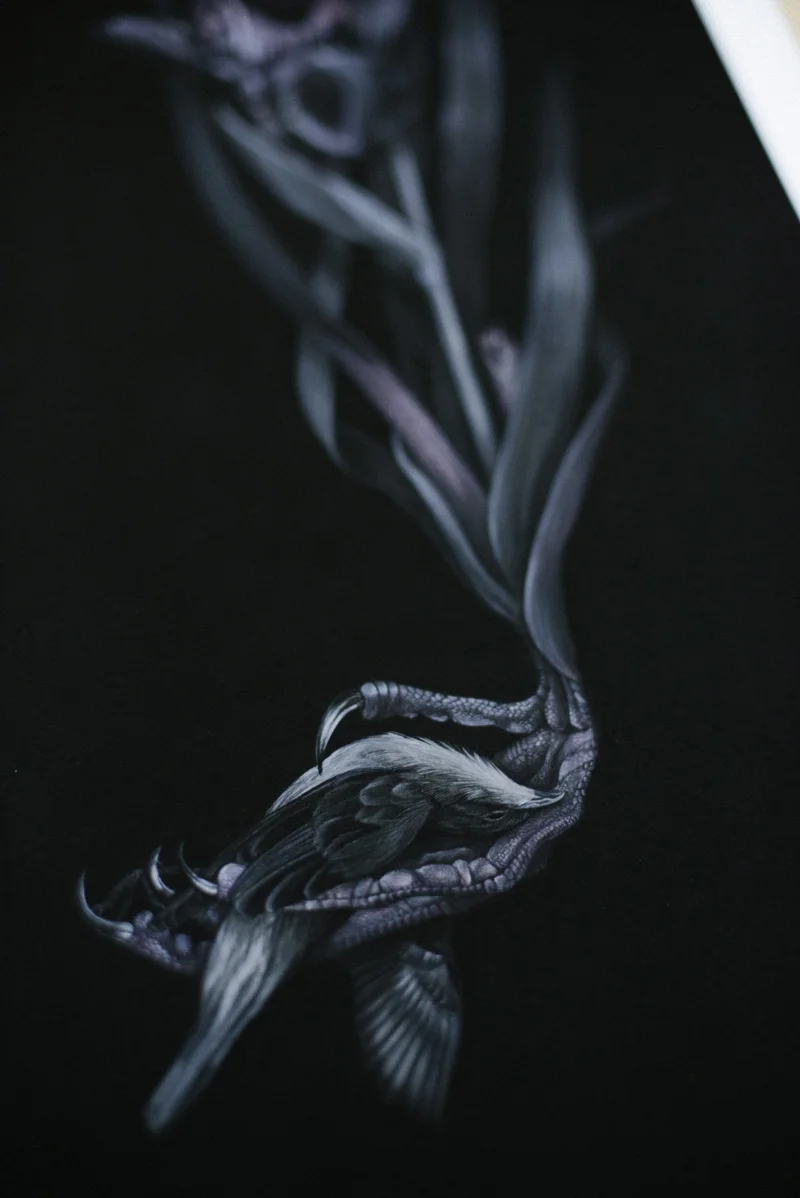 IrisPrint (10 of 28) - small .jpg