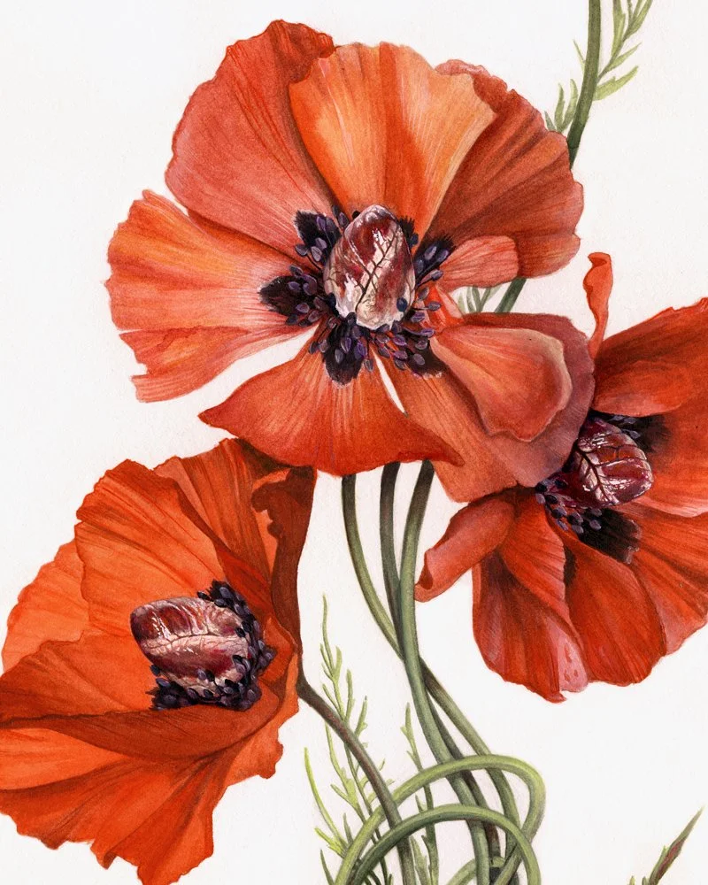 Poppy Heart Detail 1.jpg