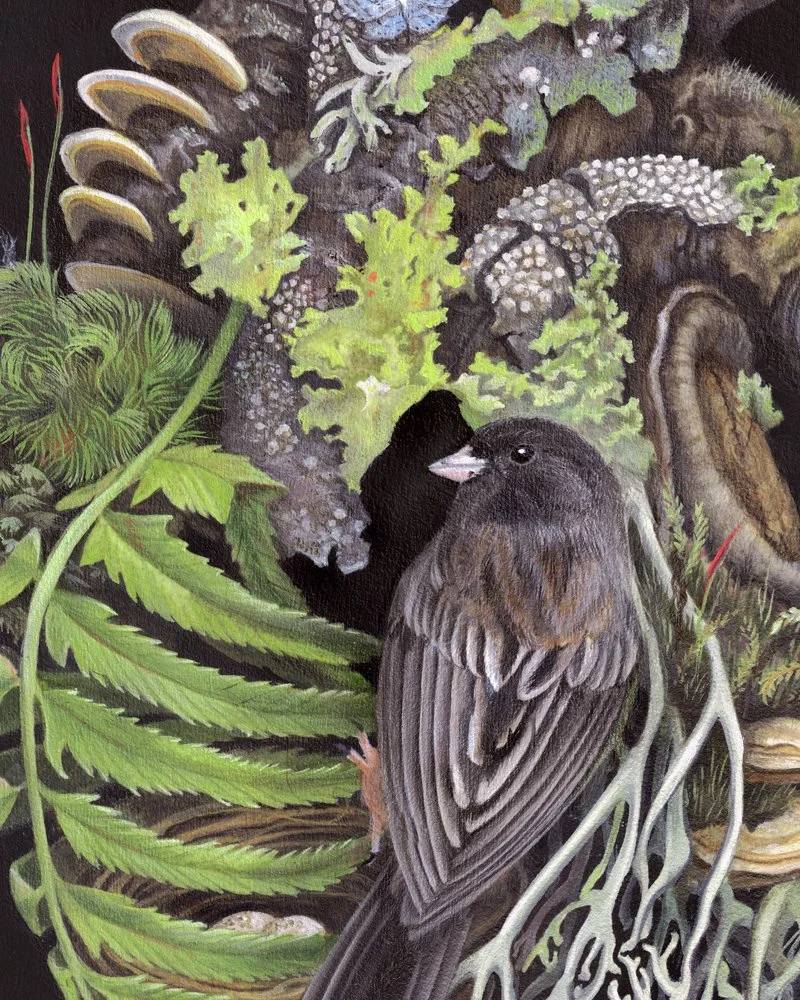 Detail.jpg