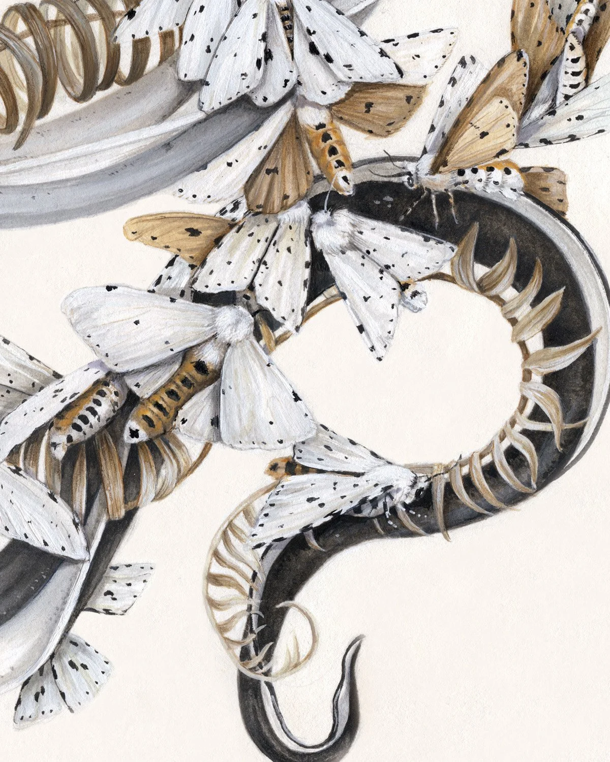 Eel Detail 3.jpg
