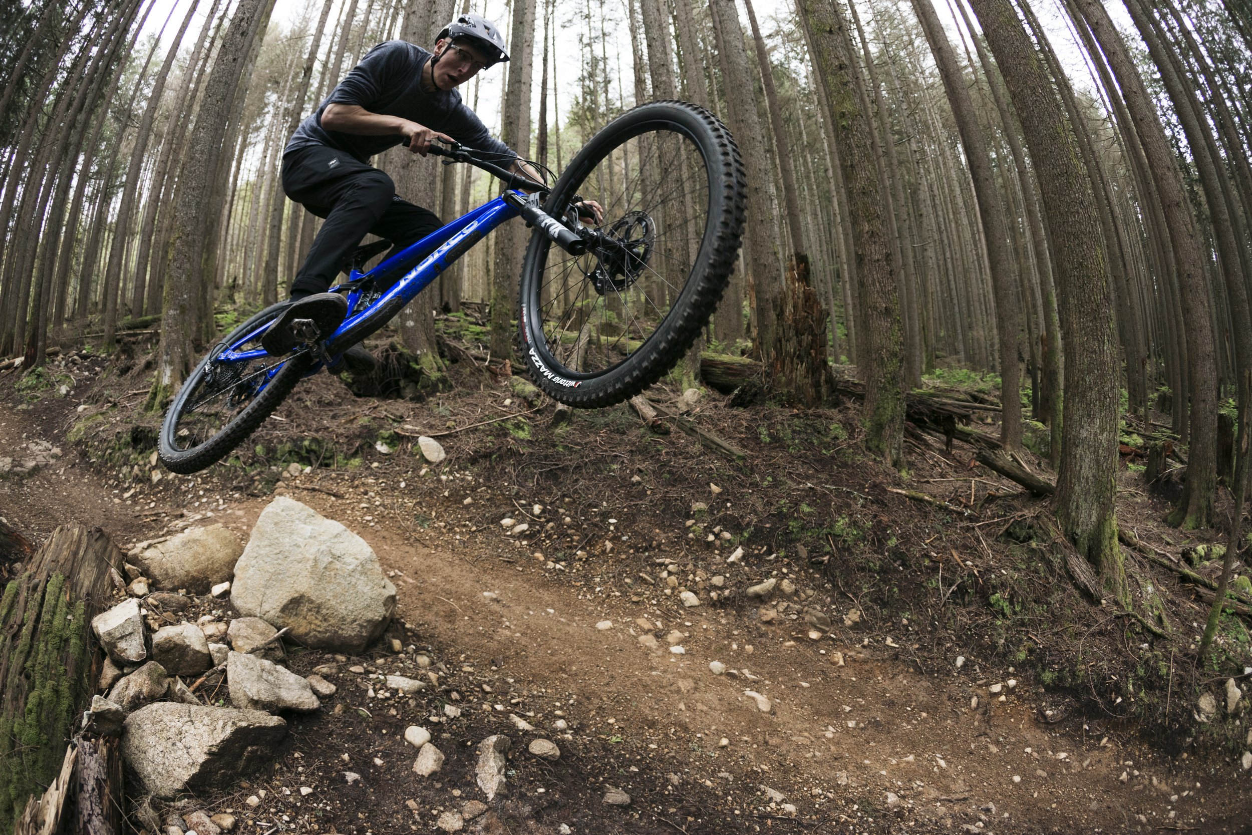 Jack_Norco_Optic_04.JPG